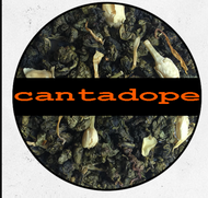 Cantadope from BrutaliTeas