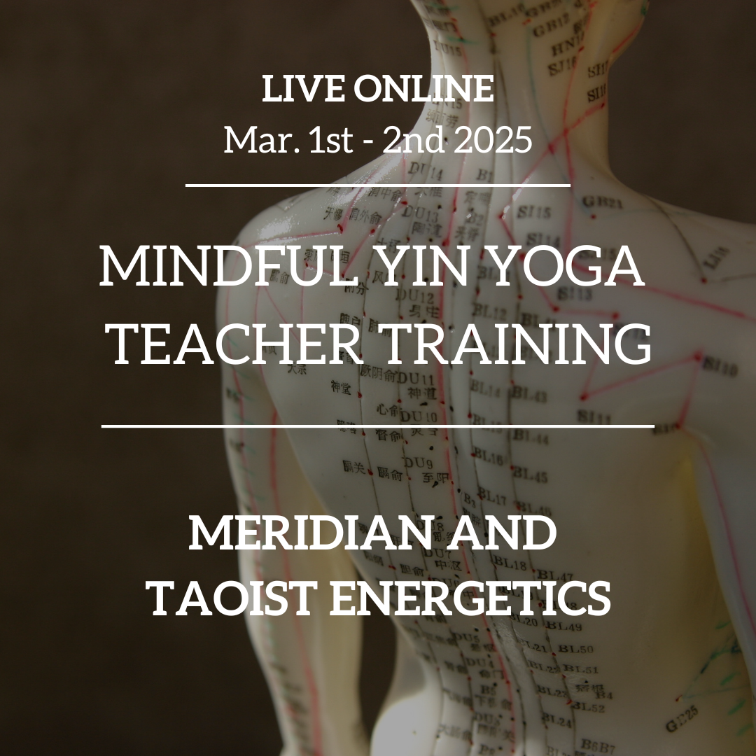 Mindful Yin Yoga Teacher Training