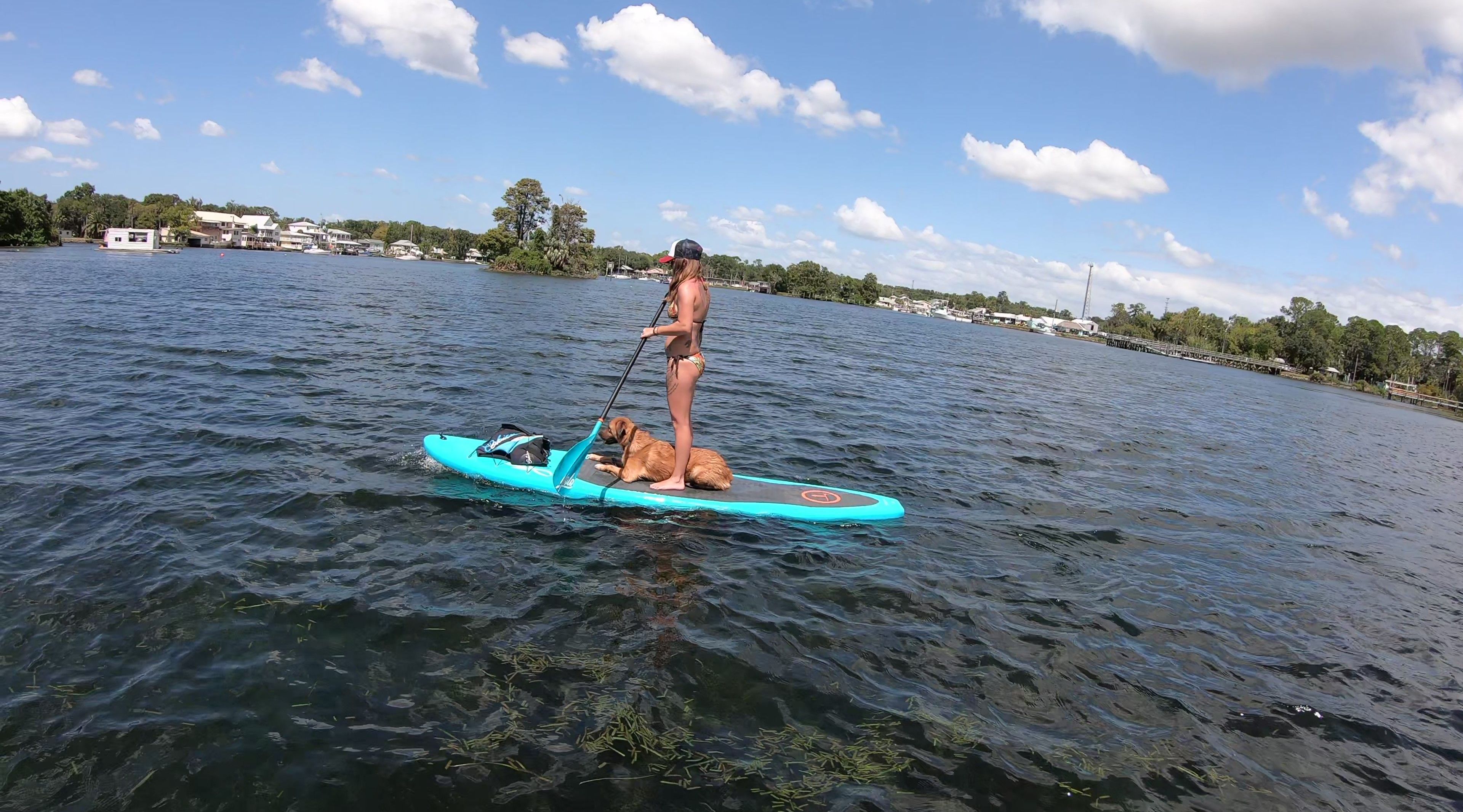 2 Hour 12' YOLO Hammerhead Paddle Board Rental and Manatee Viewing in