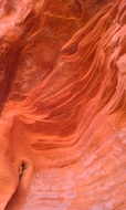 Red Rock from Adagio Custom Blends, Kallie The Great