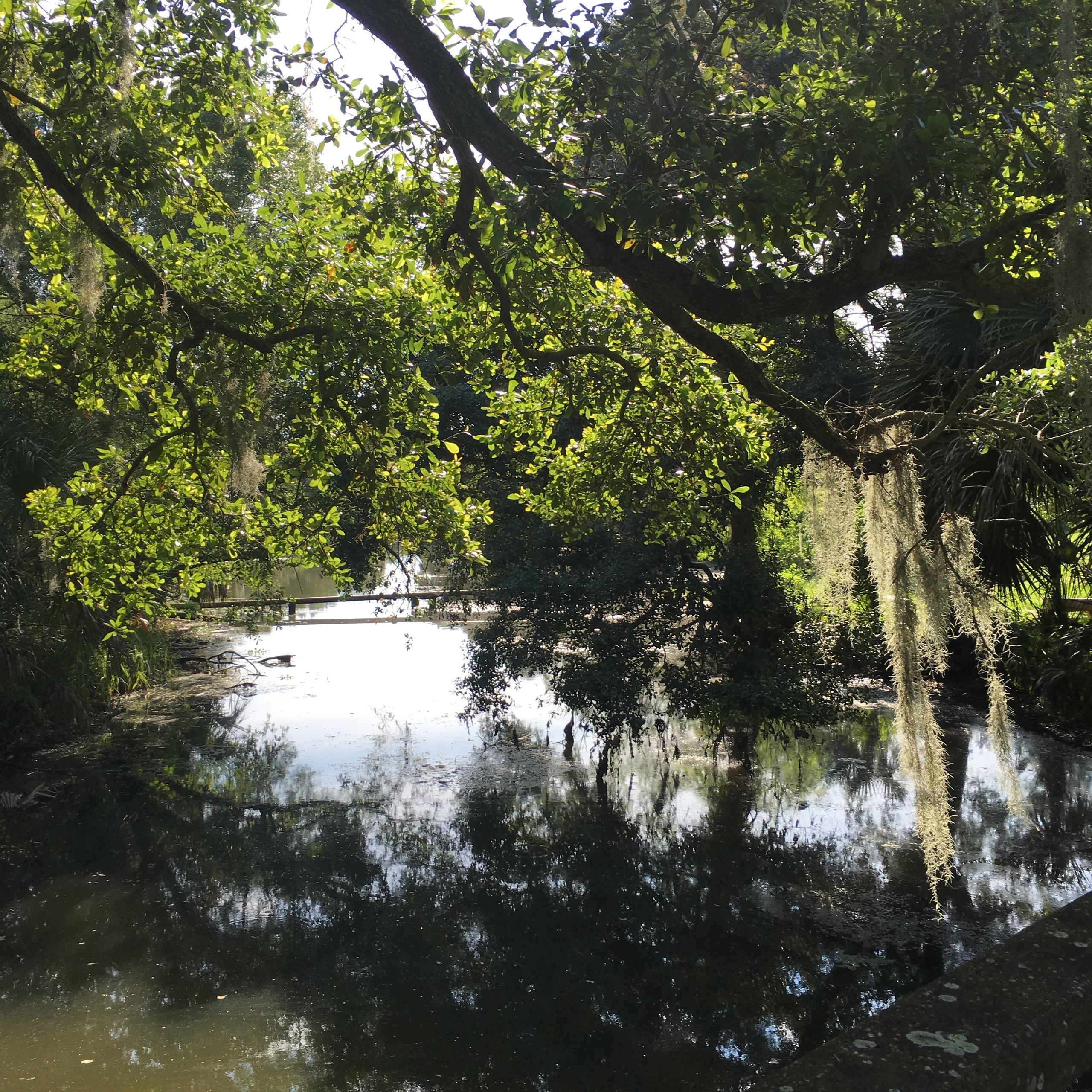 Water Activities & Wildlife Adventure at Bloody Mary's Tours - Baton Rouge