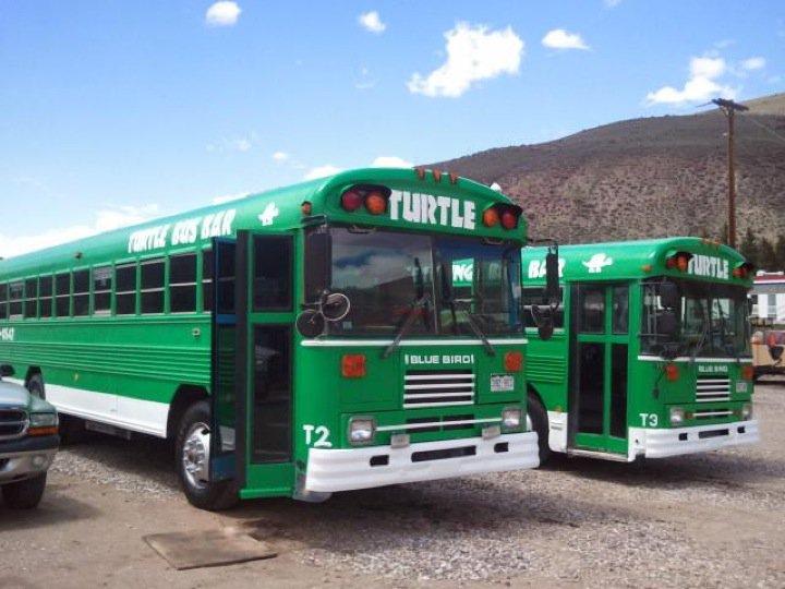 Denver Concert Transportation photo 1