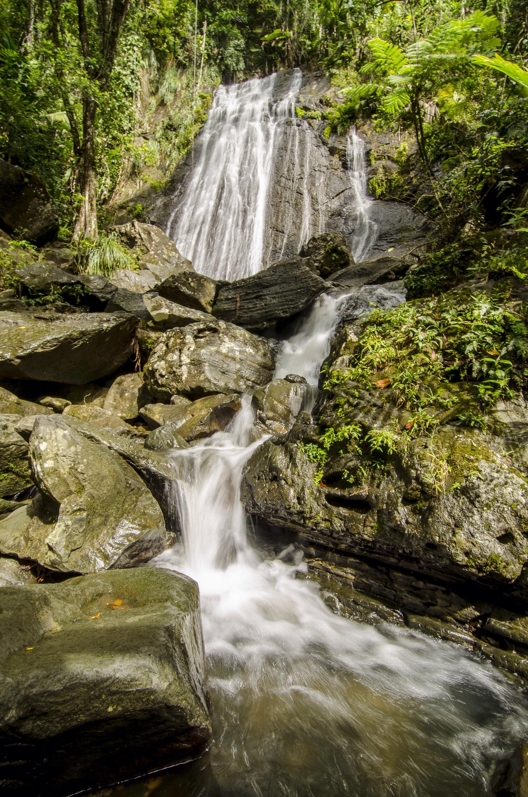 Explore El Yunque & BioBay Adventure in Puerto Rico - San Juan