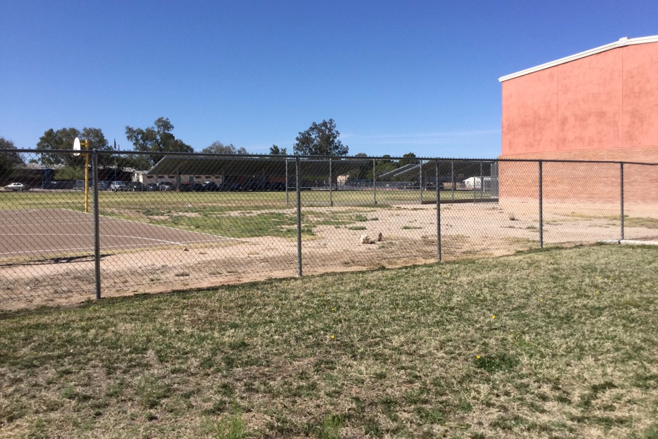 The Field and Playground