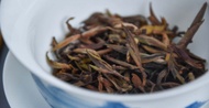 Crassicolumna Yabao from Verdant Tea