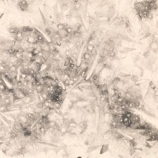 image: comet farm - 2013 graphite on 100% cotton rag paper