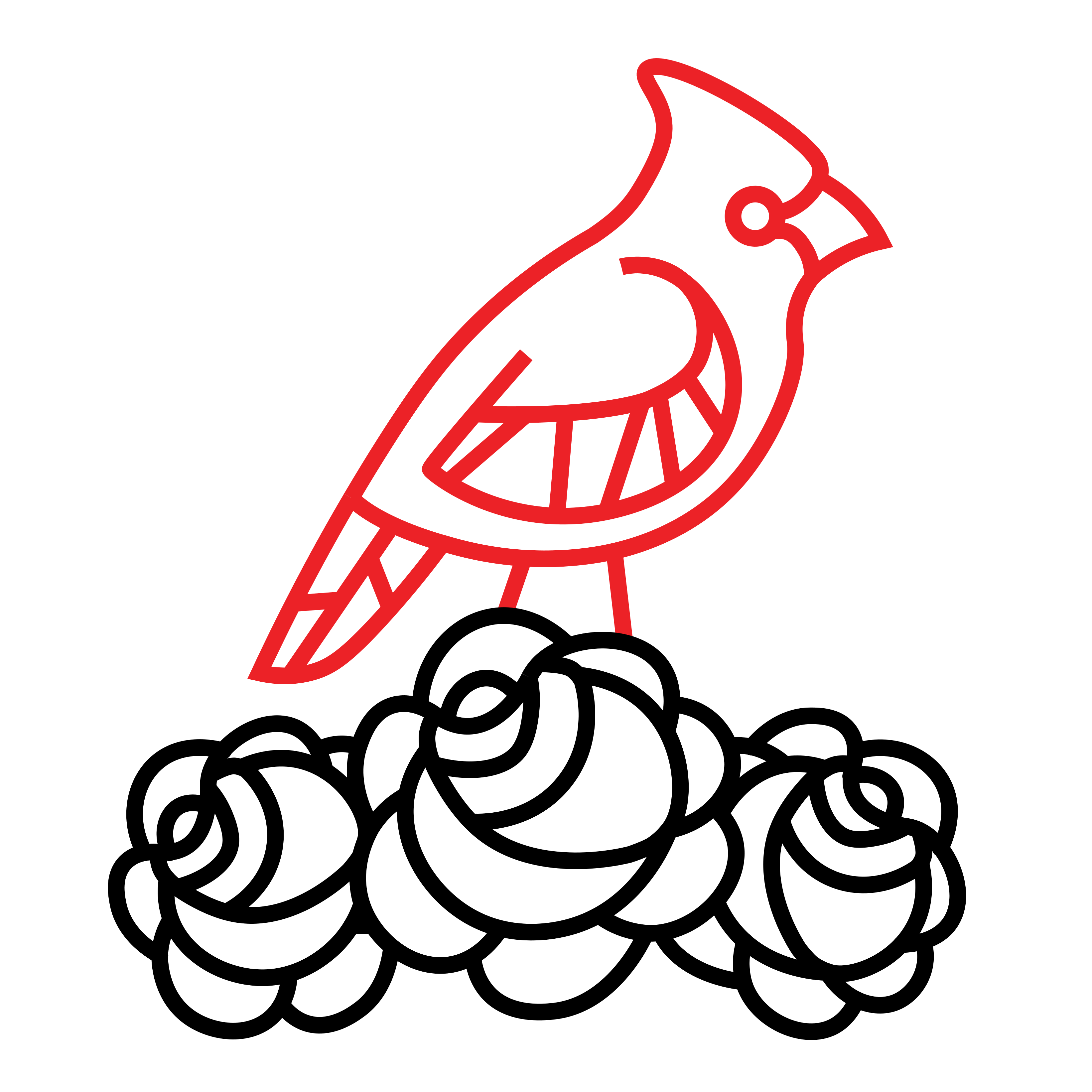 NC Triangle DSA logo