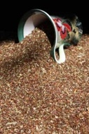 Freedom Tea from Aromatica Fine Teas