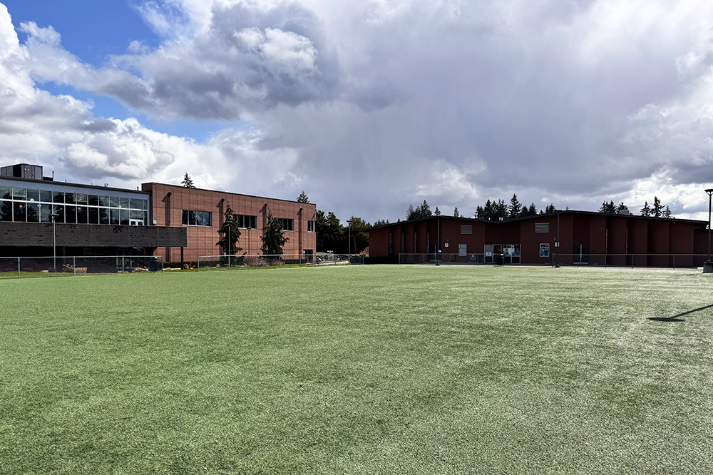 Small Turf Field