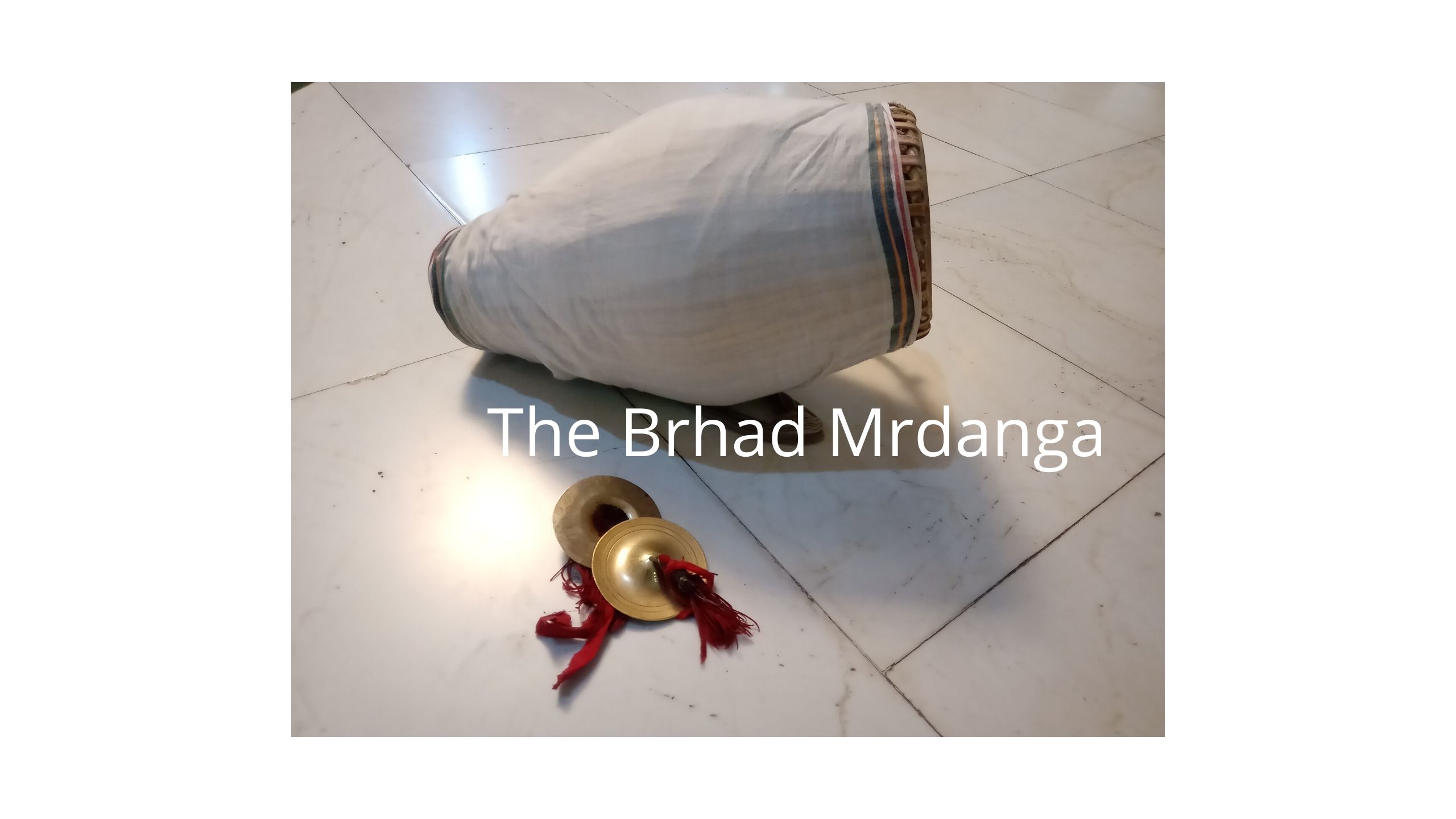 The Brhad Mrdanga Book Distribution Party. logo