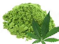 Hemp Matcha from Matcha Outlet