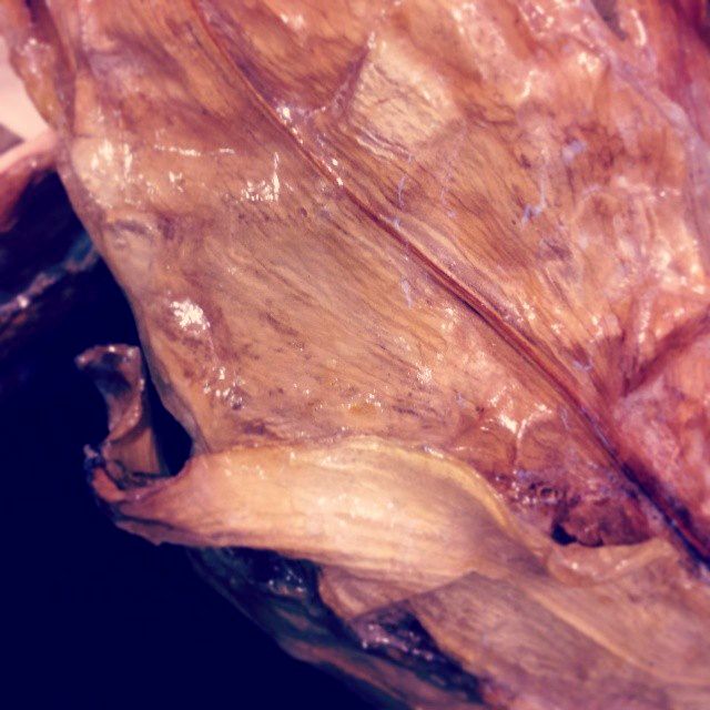 image: detail of one point shoe