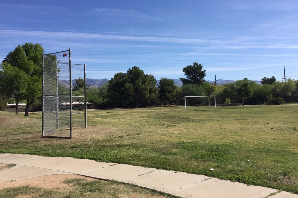 Field
