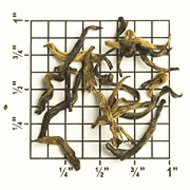 Jun Mee Golden Tip from Upton Tea Imports