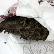2013 Yi Qing Yuan "Yuan Ye" Fu Brick Tea of Hunan from Yunnan Sourcing