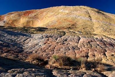 Climbing & Nature Tour with Yellow Rock in Grand Staircase-Escalante - Page