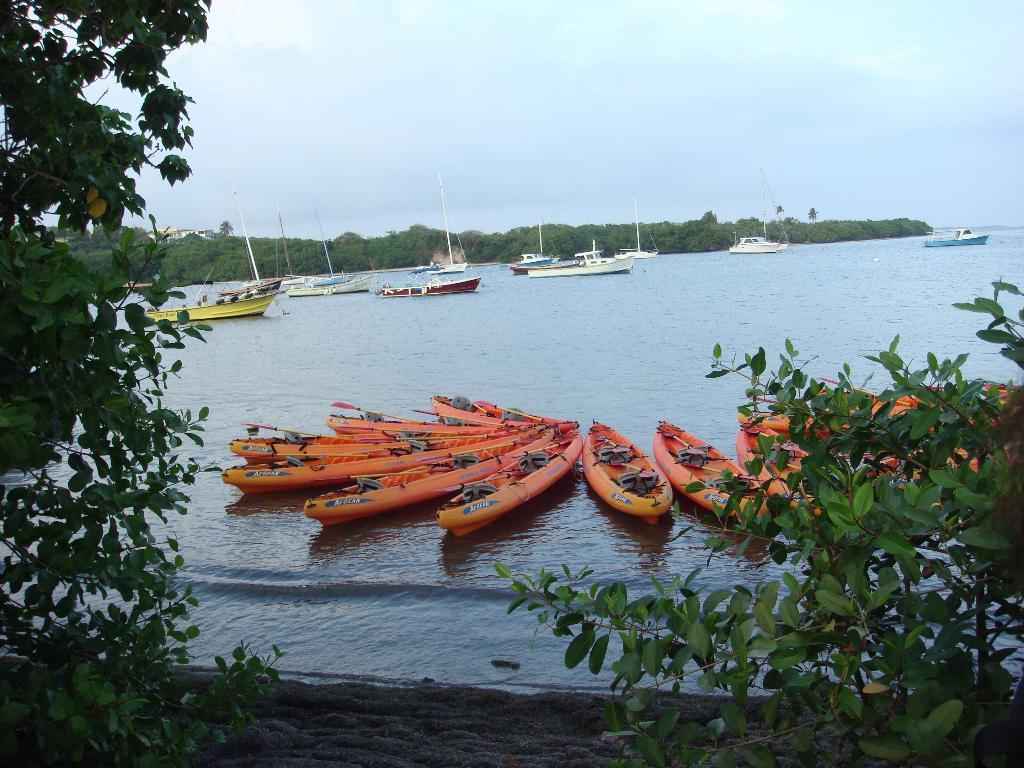 Full Moon Kayak Adventure photo 1