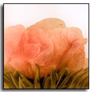 Peony Cascade Blooming Tea from The Exotic Teapot
