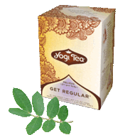 Soothing Mint Get Regular from Yogi Tea