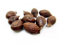 Sterculia-Boat-fruited Scaphium Seed from ESGREEN