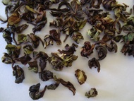 DJ-13 of Giddapahar Eagles Cliff Darjeeling Tea from Fresh Darjeeling Tea