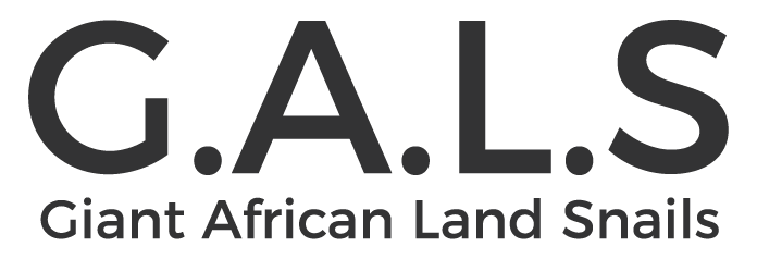 giantafricanlandsnails logo