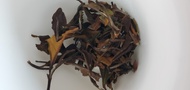 Ginger White from Ancient Leaf Tea
