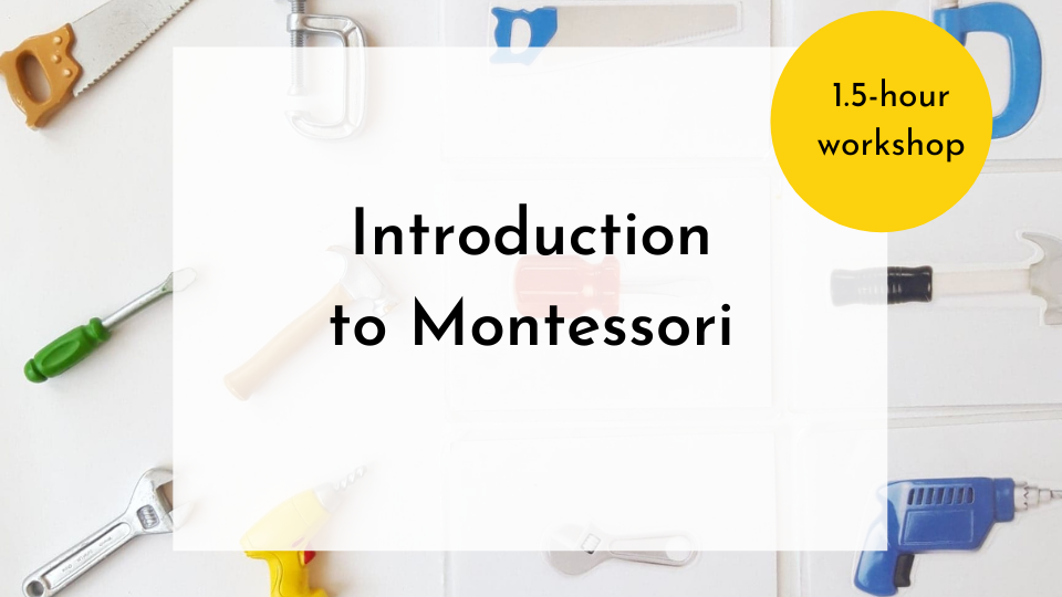 Product image for Introduction to Montessori