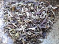 2012 Darjeeling Oolong Jungpana from sTEAp Shoppe
