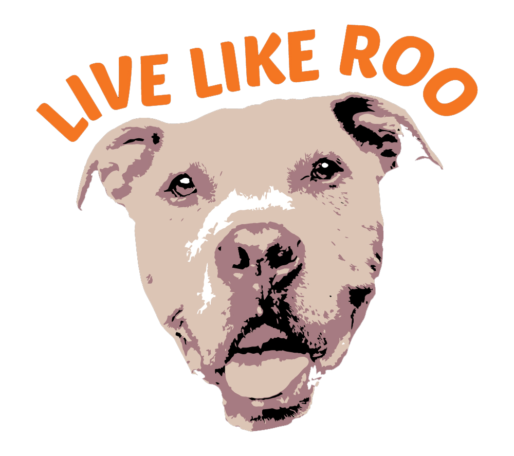 Live Like Roo Foundation logo