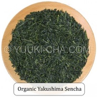 Organic Yakushima Sencha from Yuuki-cha