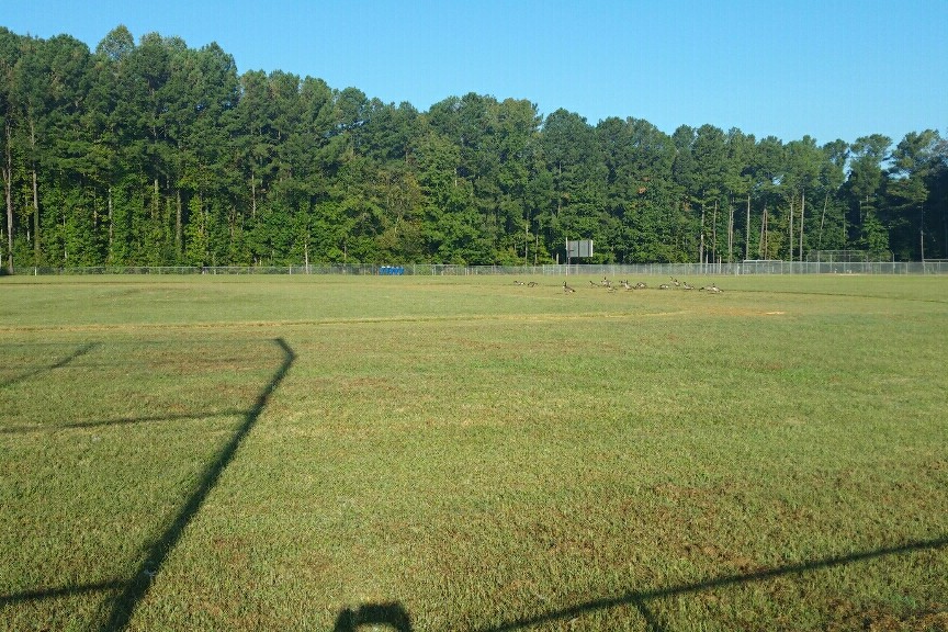 Baseball Field