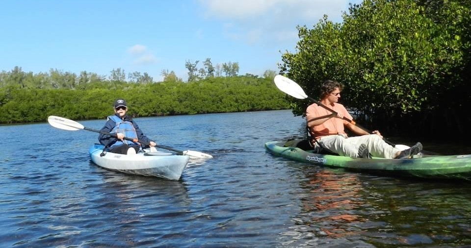 Morning Guided Mangrove Tunnel Tours in Sarasota Florida United States