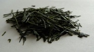 Sencha Yamanoibuki from Tealand.sk