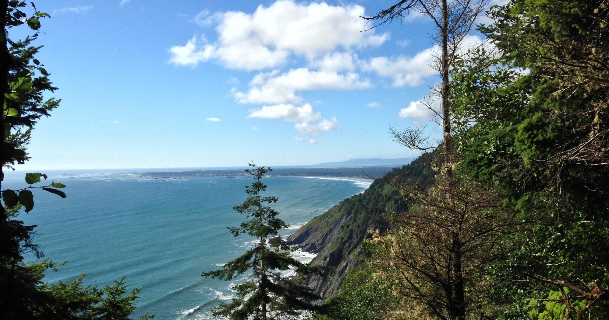 Land Adventures with Redwood Rides: Discovering the Old Redwood Highway - Eureka