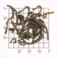 Pu-erh Loose Jia Ji (ZH65) from Upton Tea Imports