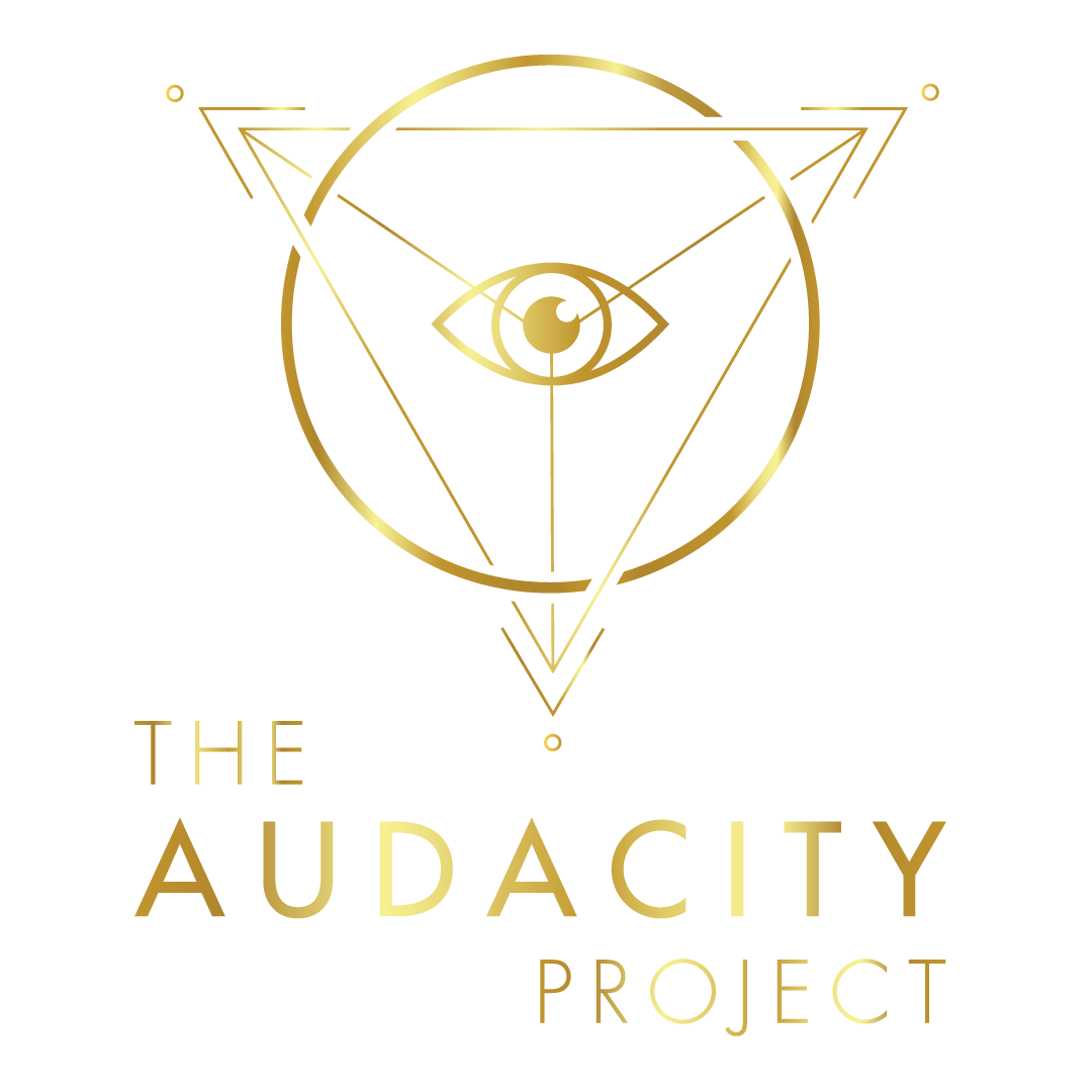 Product image for The Audacity Project:  Cycle 28  