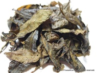 Furyu: Awa Bancha from Yunomi