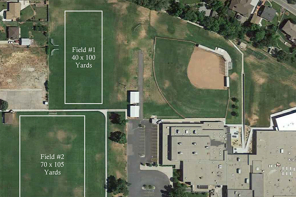 Field 1