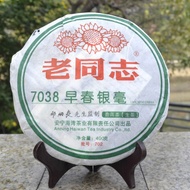 2007 Haiwan 7038 Early Spring Buds Premium   Raw from Haiwan Tea Factory
