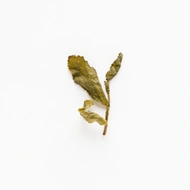 High Mountain Iron Goddess from Spirit Tea