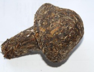 2005 Changtai Bulang Daughter Mushroom Toucha from PuerhShop.com
