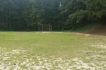 Field