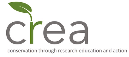 CREA logo