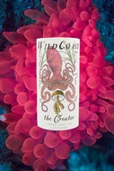 The Creator from Wild Coast Brew
