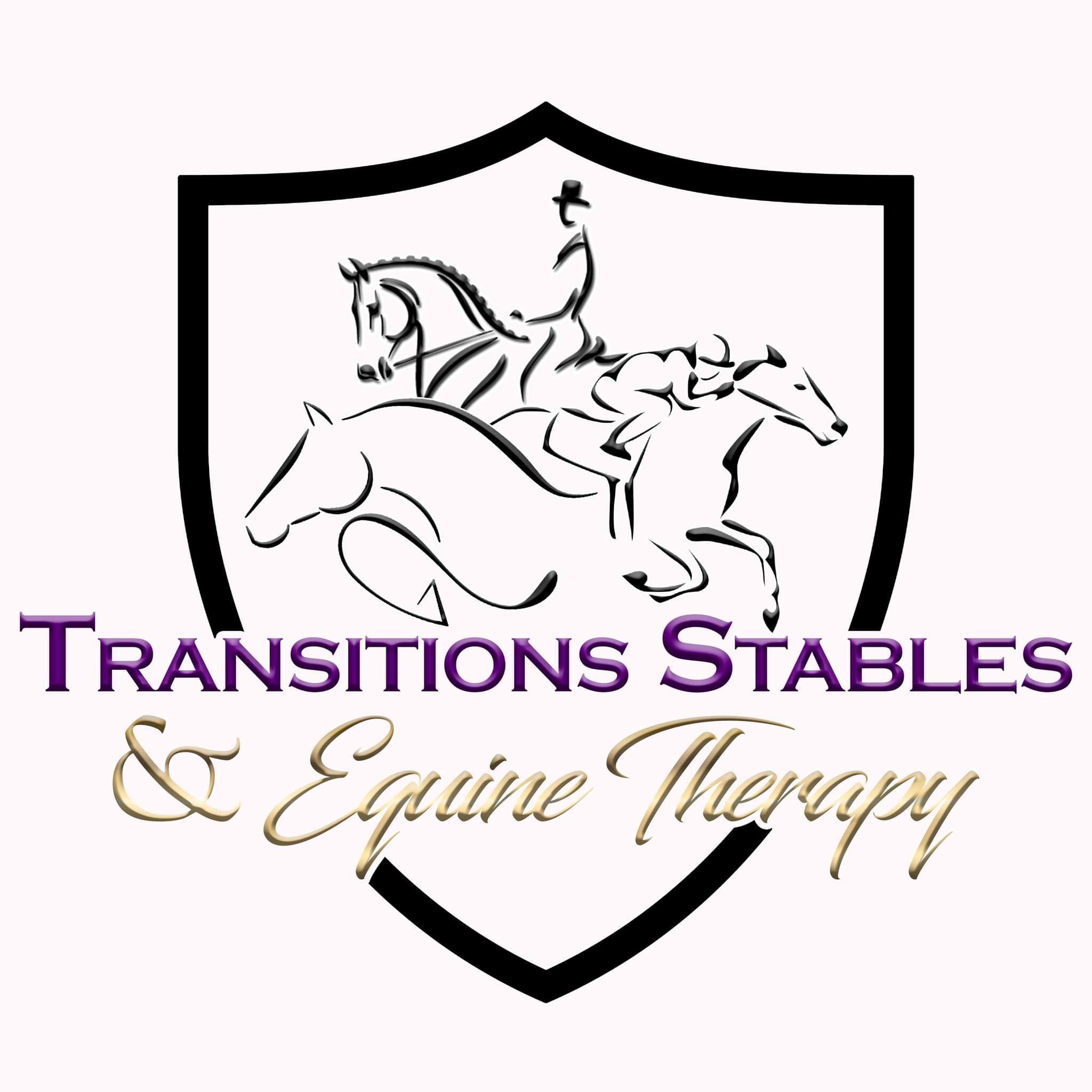 Transitions Stables and Equine Therapy of Virginia Inc logo