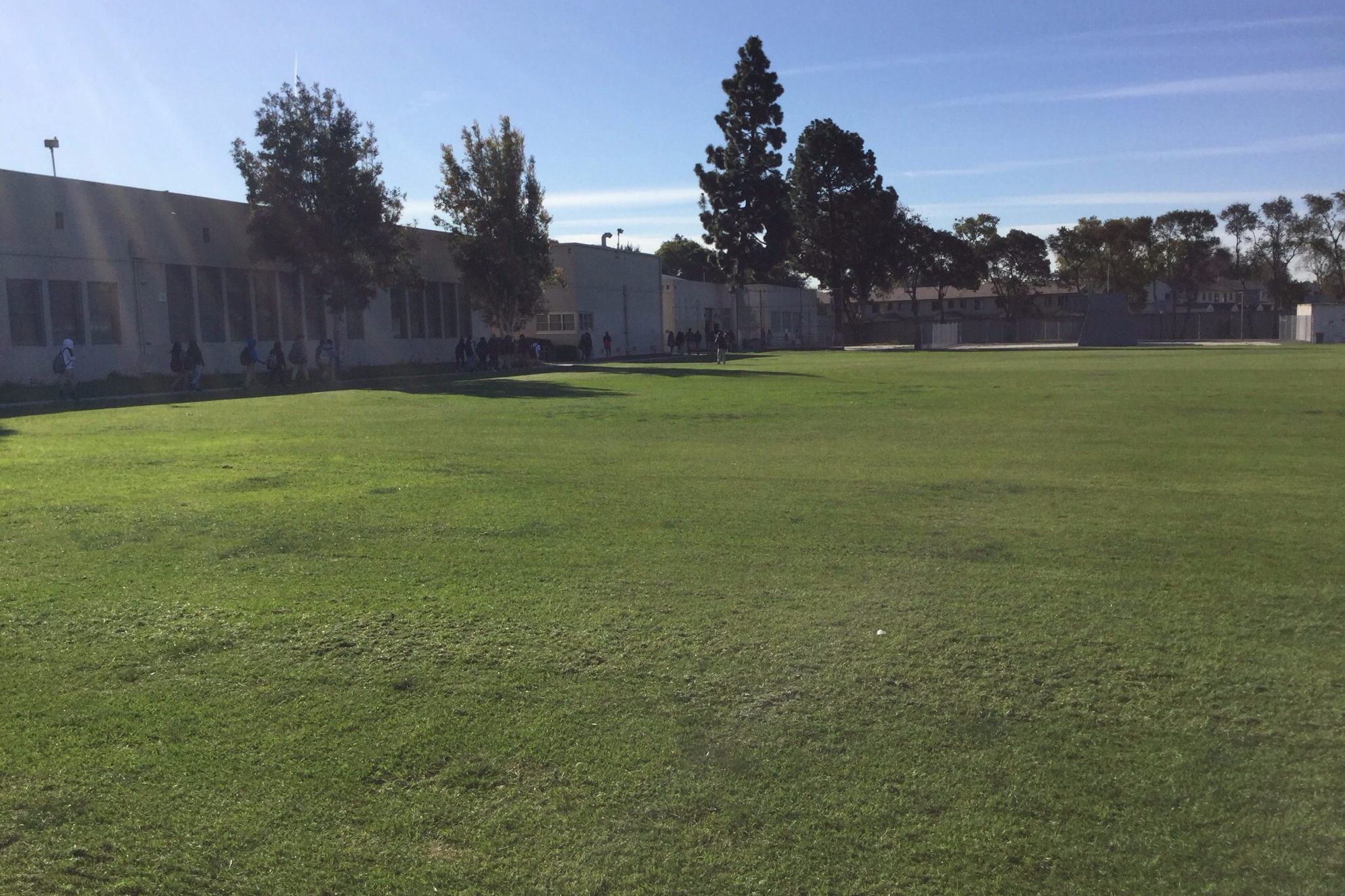 Field