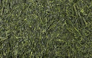 Gyokuro Jade Dew from Mark T. Wendell