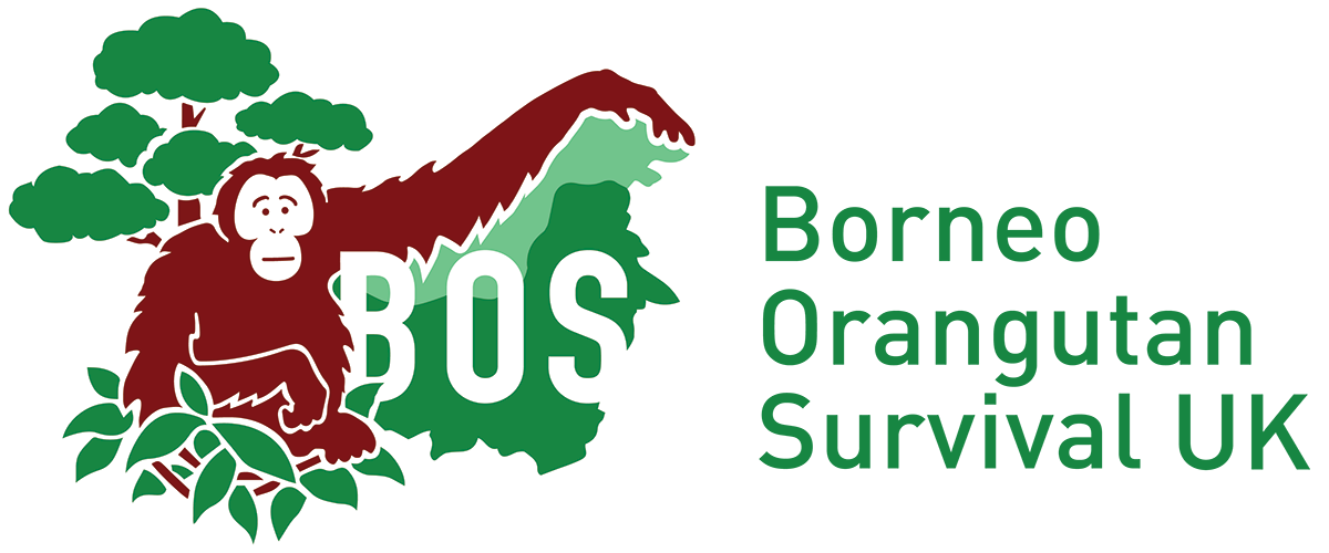 Borneo Orangutan Survival UK logo