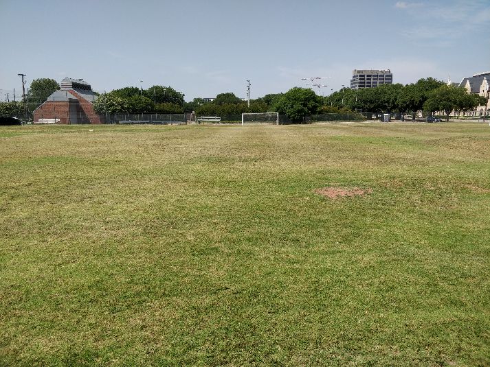 Field